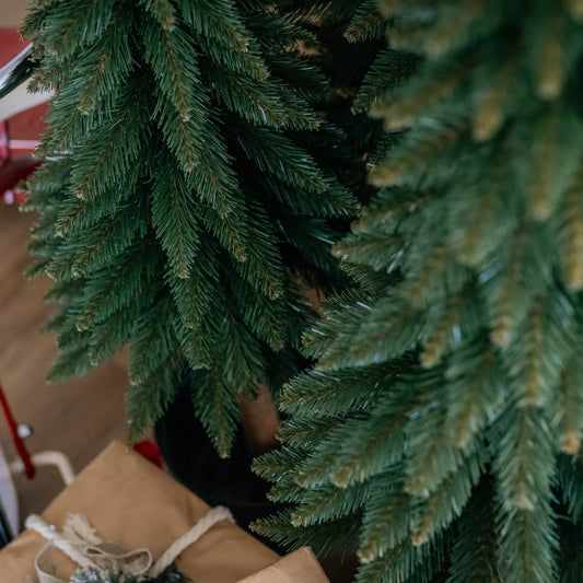 110 cm Kalėdinė eglutė „Tatrų kėnis“