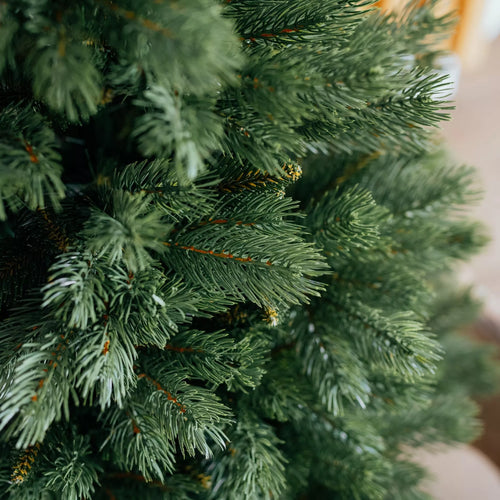 120 cm Kalėdų eglutė Sosna Himalajska Exclusive