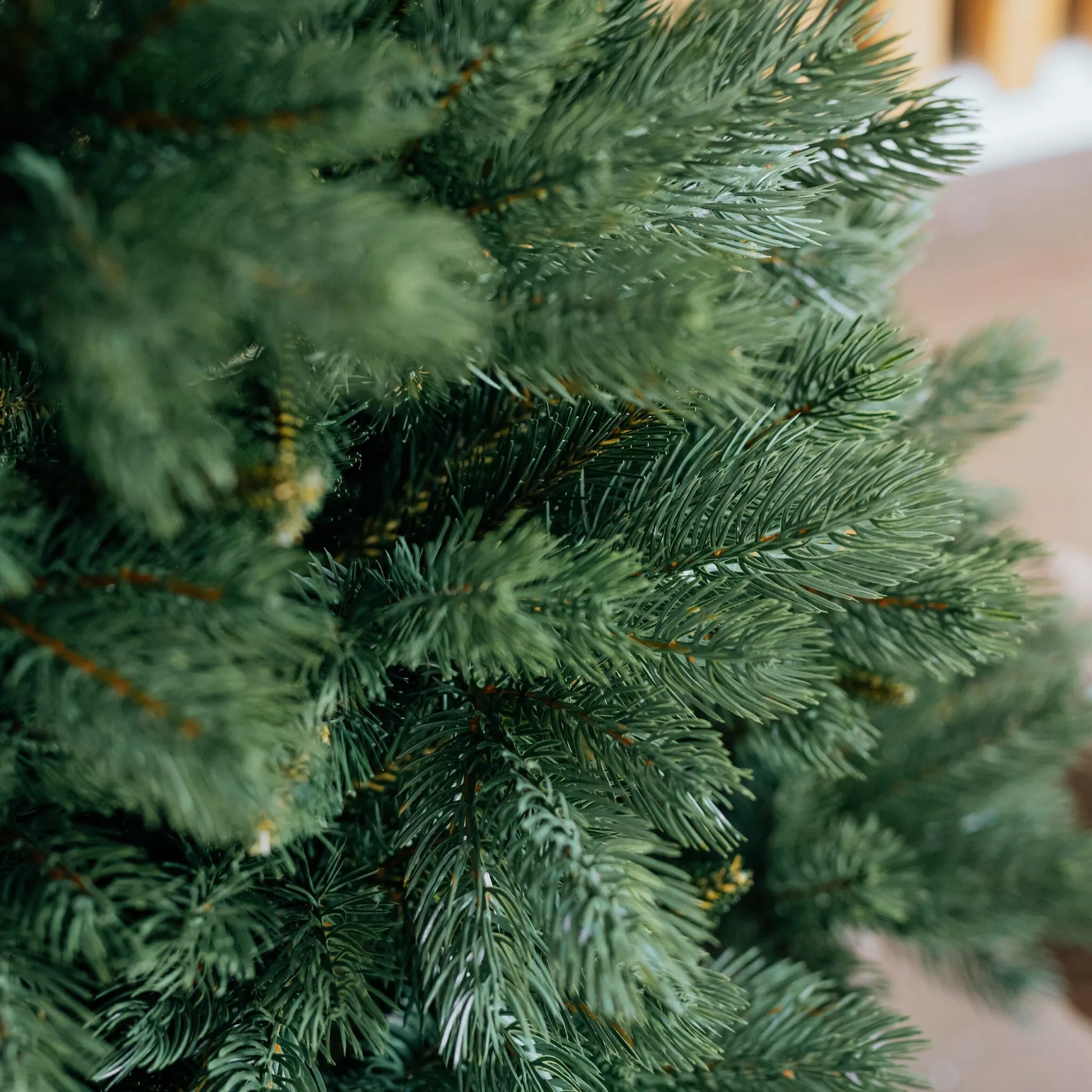 120 cm Kalėdų eglutė Sosna Himalajska Exclusive