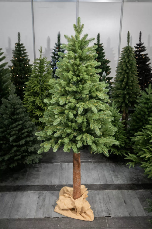 220 cm Kalėdinė eglutė „Skandinaviškas kėnis“