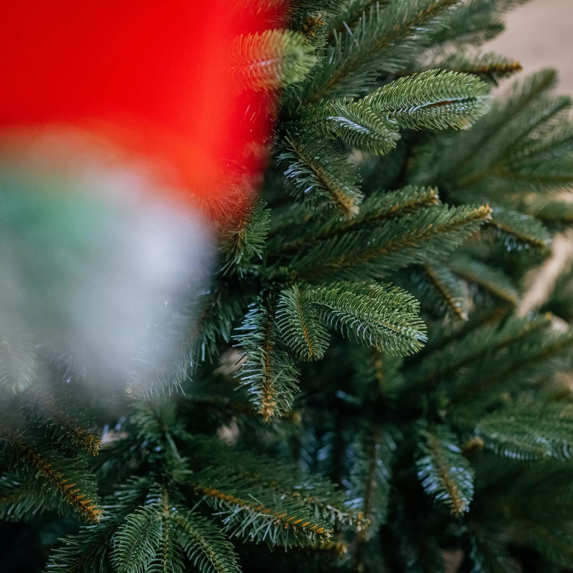 250 cm Dirbtinė Kalėdų eglutė Bergamo Premium