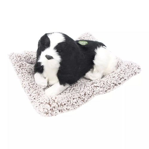 Lojantis šuniukas ant minkšto gultuko