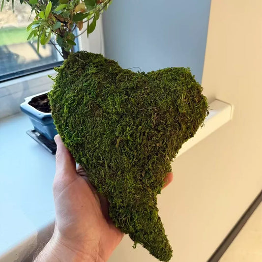 Dekoratyvinė samanų širdis (27 × 20 × 5 cm)