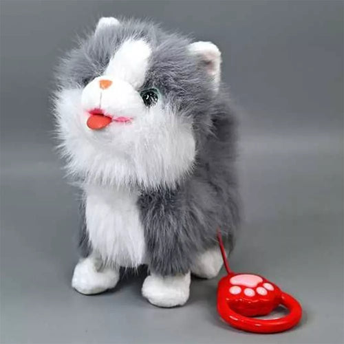 Interaktyvus kačiukas