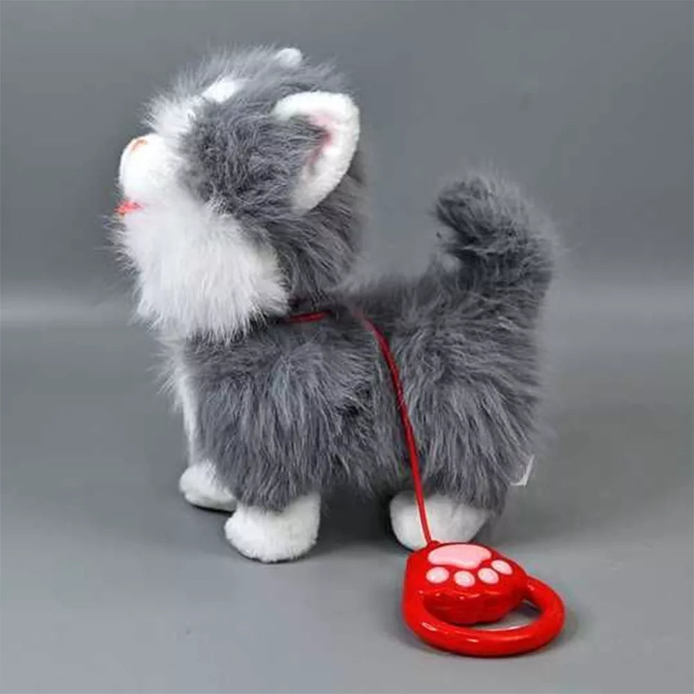 Interaktyvus kačiukas