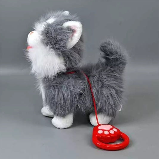 Interaktyvus kačiukas