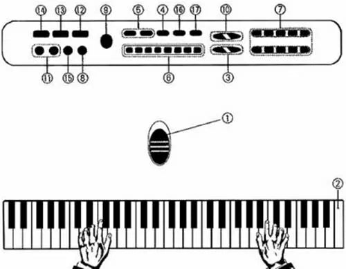 Pianinas Su Mikrofonu