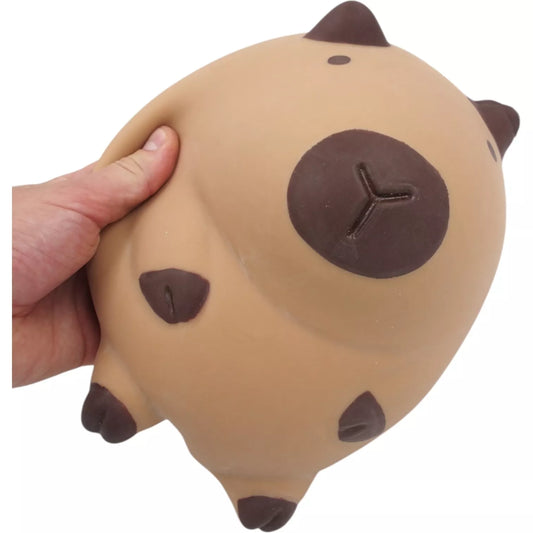 Pripučiama kapibara