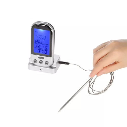 Skaitmeninis Termometras su zondu